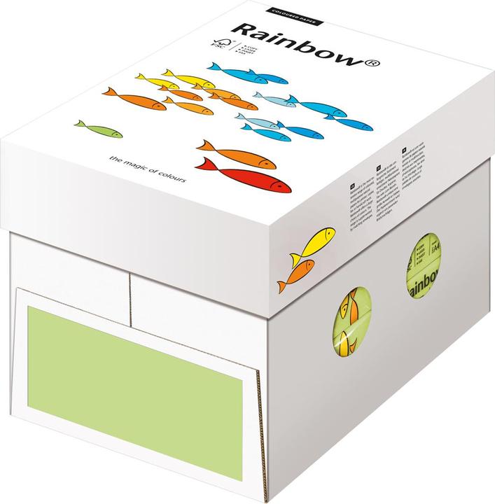 Actual product image Rainbow Copy paper (80 g/m², 500 x, A4)