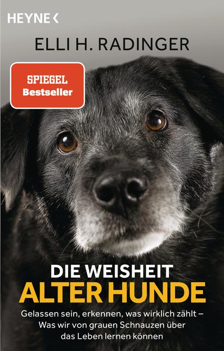 Produktbild Die Weisheit alter Hunde (Deutsch, Leïla Slimani, 2020)