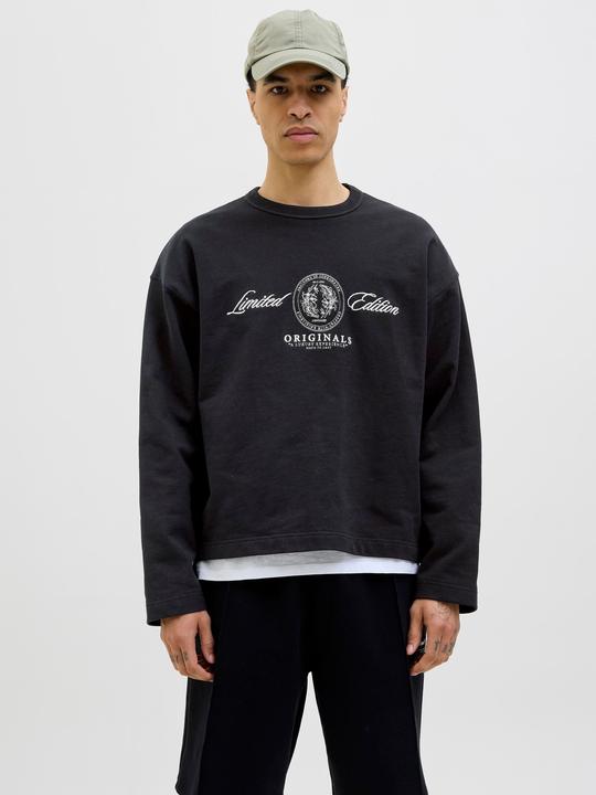 Image du produit Jack & Jones Jordia Sweat Crew Neck Ss25 (S)
