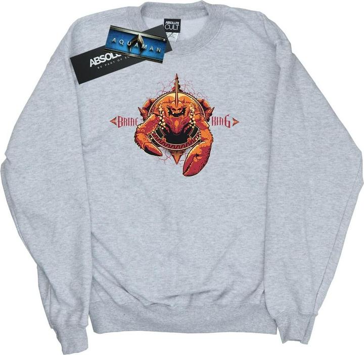 Actual product image Womens/Ladies Aquaman Brine King Sweatshirt (M)
