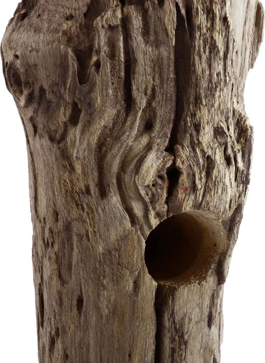 Image du produit SIT Möbel Pia (40 x 25 x 185 cm)