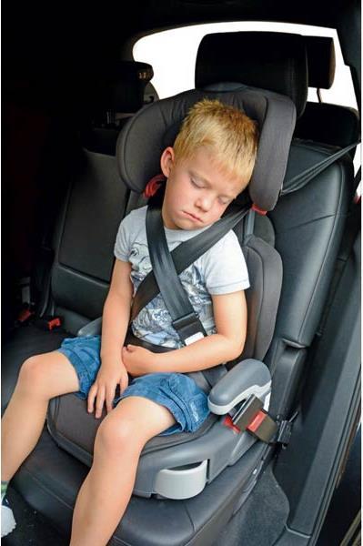 Actual product image Vital Baby BeltUpp safety belt