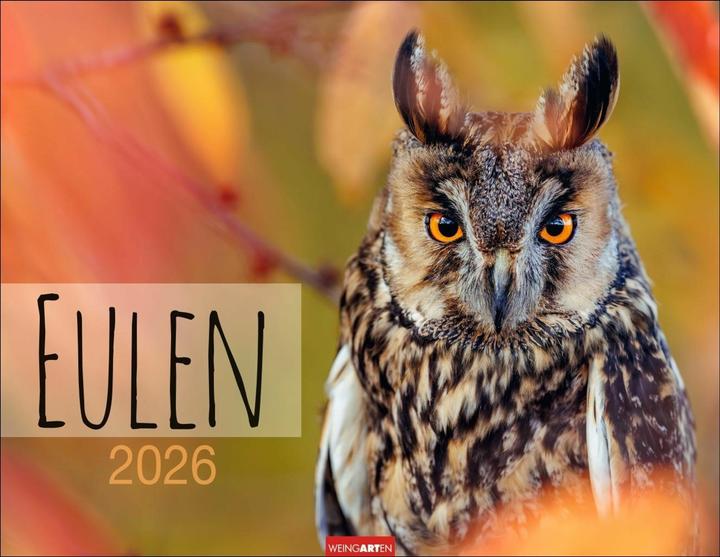 Actual product image Eulen Kalender 2026 (44 x 34 cm, Hardcover, German, English)