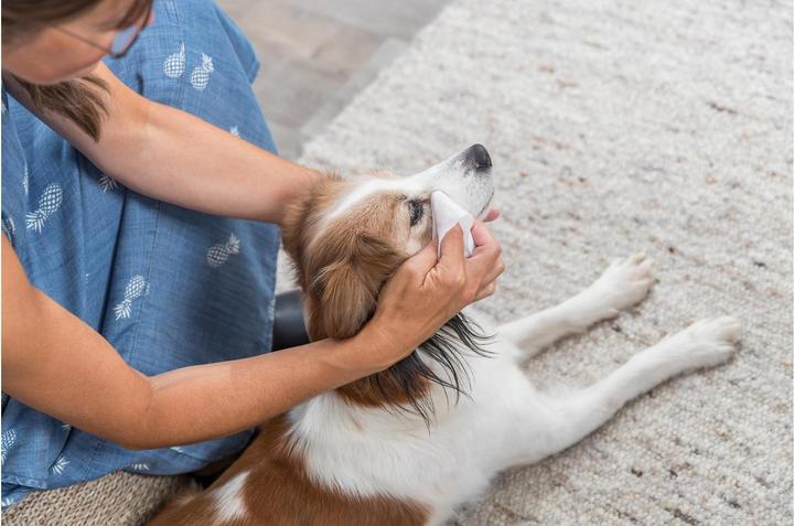Produktbild Trixie Pflegetücher für die Augen (Hund, Katze)