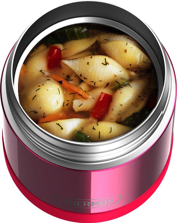 Actual product image Thermos Funtainer
