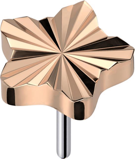Star Piercing Threadless Diamantschliff Scheibe Stern rosegold (Titan G23, ohne Messing)