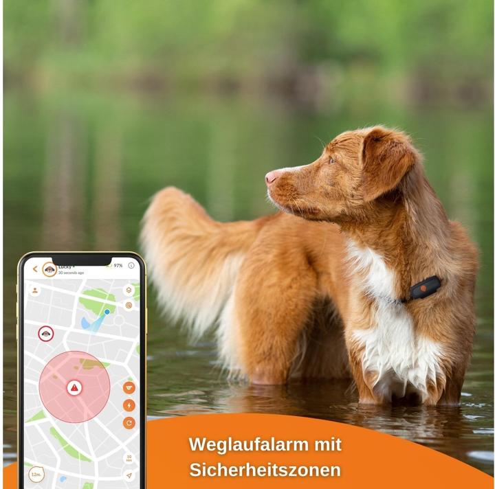 Actual product image Weenect GPS tracker (Dog)
