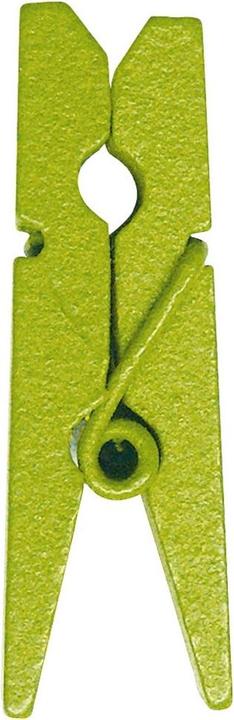 Image du produit Santex Mini pinces à linge Vert (24 pièces)