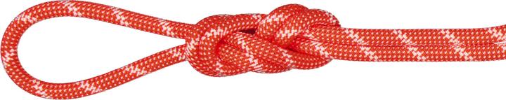Mammut 8.0 Alpine Classic Rope 50m (50 m)