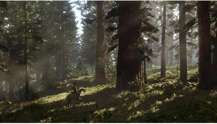 Actual product image Rockstar Red Dead Redemption 2 (PS4, DE)
