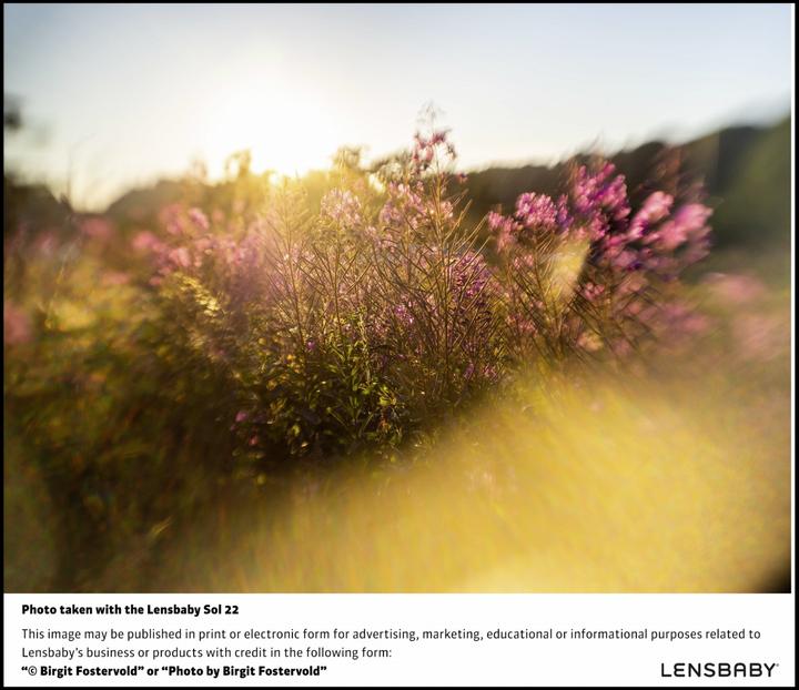 Image du produit Lensbaby Sol 22 MFT (Micro Four Thirds, Micro Four Thirds)