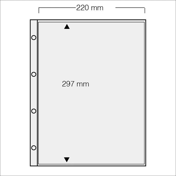 Safe Hülle zu Dokumentenordner15 Stk (15 x)