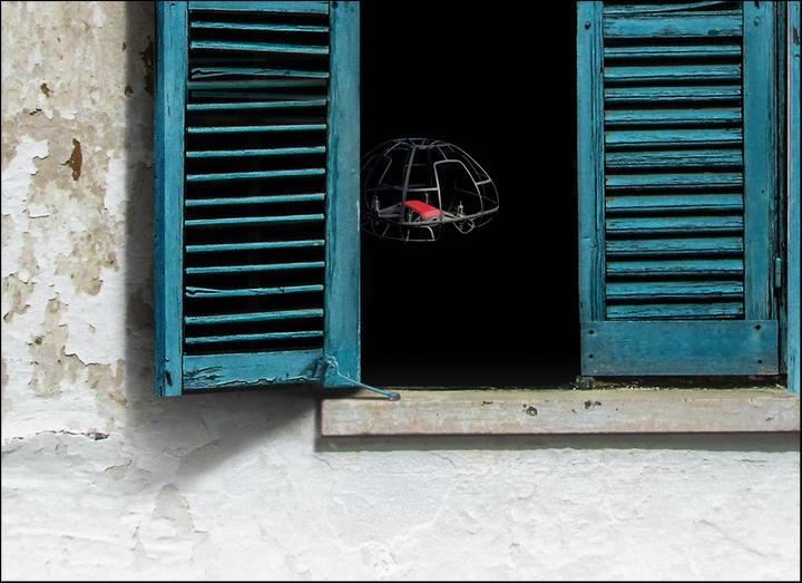 Immagine prodotto Pgytech Gabbia di protezione dell'elica per RYZE Tello (Protezione dell'elica, Ryze Tech Tello)