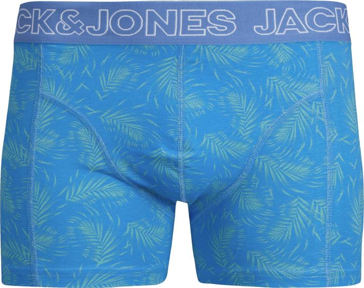 Immagine prodotto Jack & Jones Jaccanvey Trunks 10 Pack (S, confezione da 10)