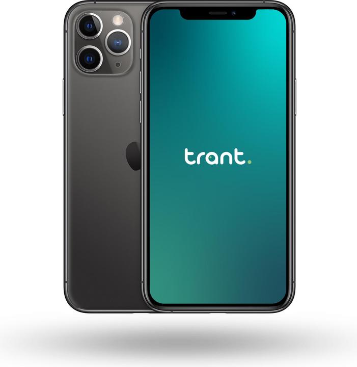Immagine prodotto Trant.ch iPhone 11 Pro Max (256 GB, Space grey, 6.50", SIM + eSIM, A / Come nuovo)
