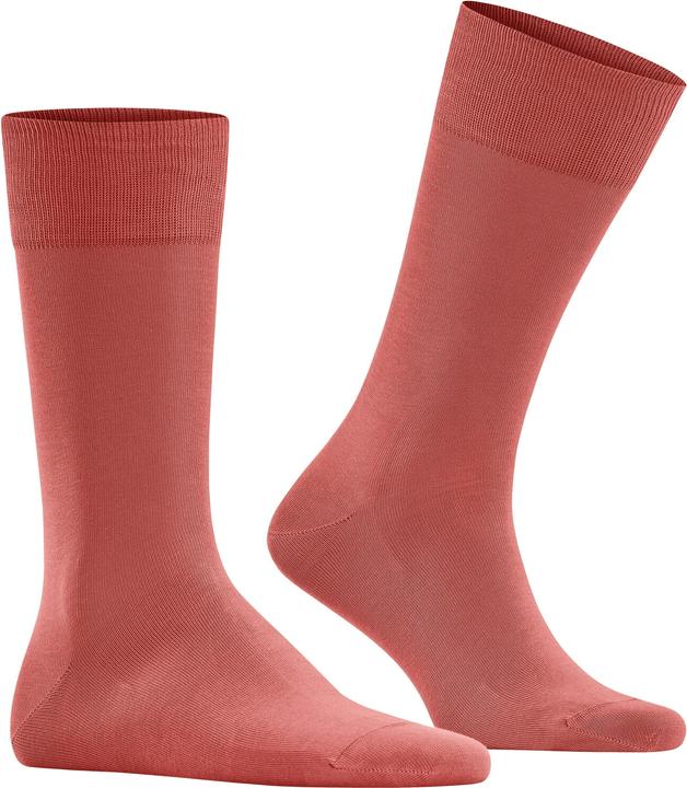 Produktbild Falke Cool 24/7 Herren Socken (39 - 40)