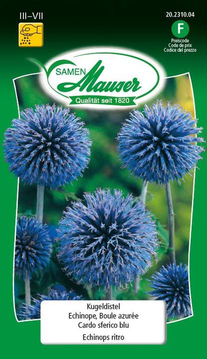Produktbild Samen Mauser Kugeldistel (Blumensamen)
