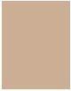 Image du produit Dr. Hauschka Broche de couverture 02 (02 Sand)