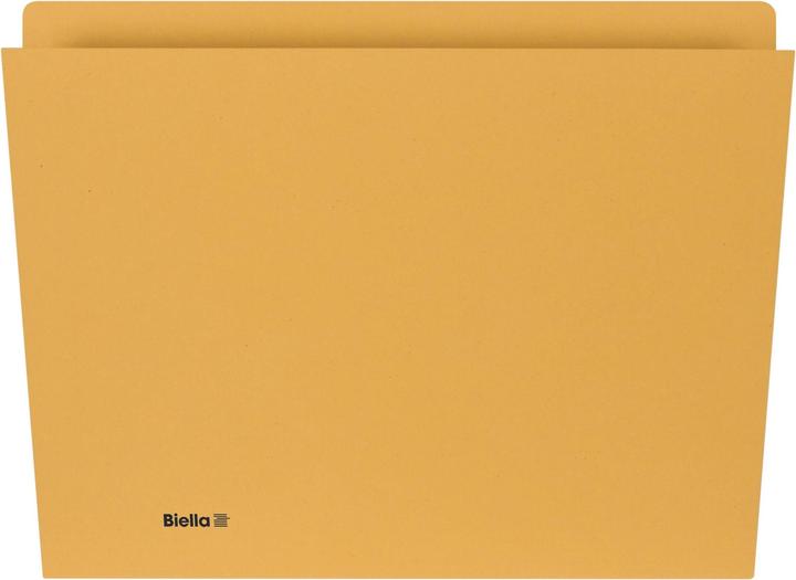 Image du produit Biella Dossiers verticaux (A4, 100 x)