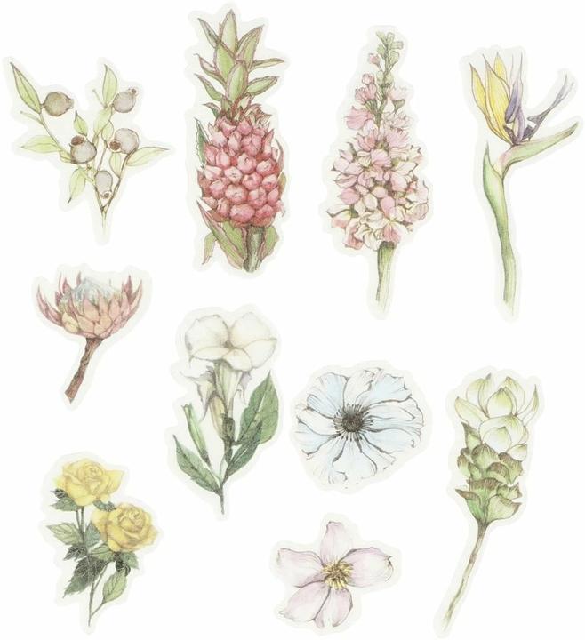 Creativ Company Blumen