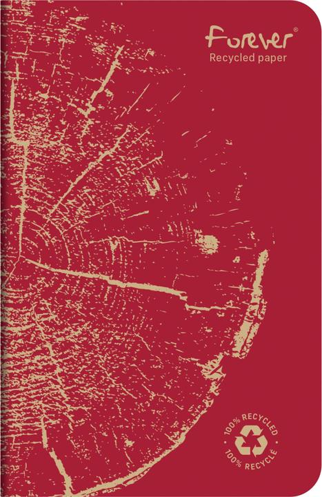 Image du produit Calligaphe Carnet piqué FOREVER PREMIUM 100% recyclé 9x14cm 96 pages ligné papier recyclé blanc 90 g - (Blanc, Couverture souple)