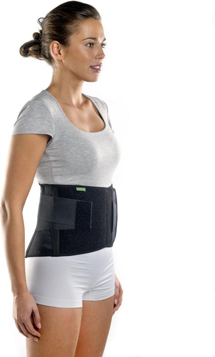 Contoured Back Support (XL)