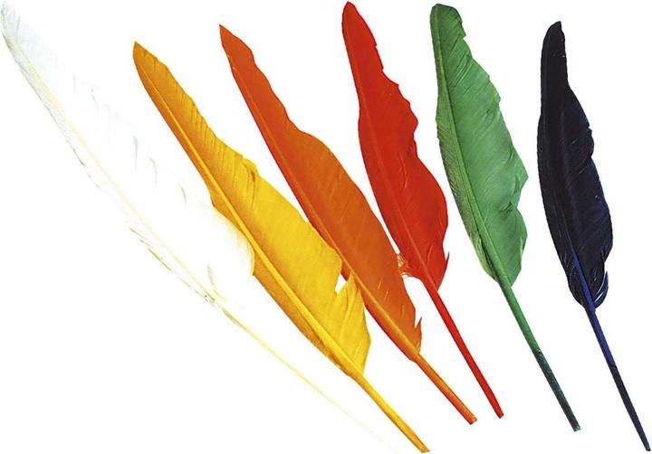 Produktbild Widmann Indianerfederset 12 Federn (One Size)