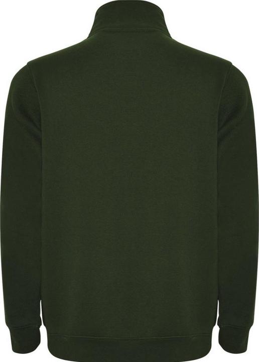 Actual product image Alpinia Mens Aneto Quarter Zip Sweatshirt (M)
