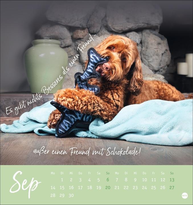 Image du produit Ziemlich beste Freunde Postkartenkalender 2026 - Für immer dein (Couverture rigide, Allemand)