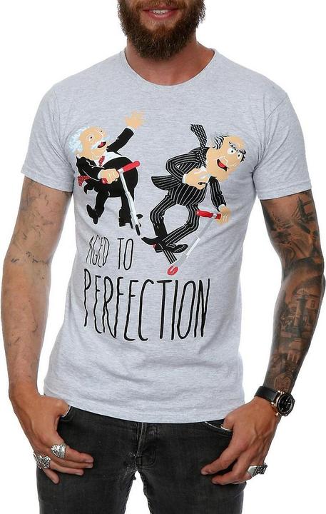 Gildan Aged To Perfection TShirt
