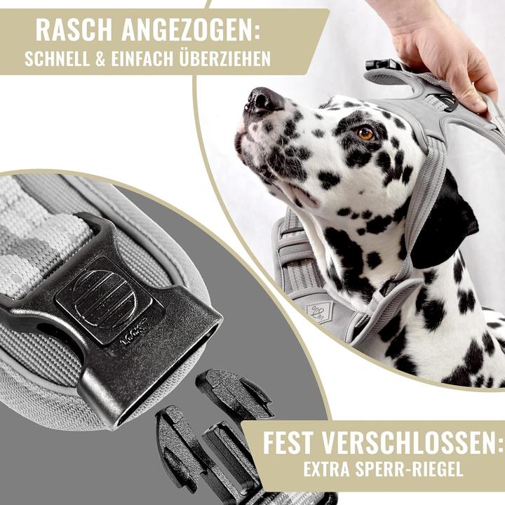 Image du produit Ne&no Hundegeschirr mit Ruckdämpfer (XL, Chien)