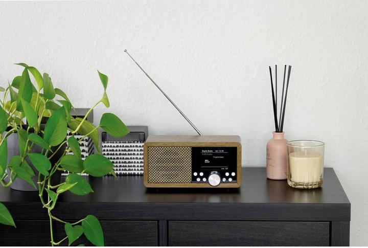 Produktbild Dynavox Weltempfänger DAB+, FM, DAB DAB+, Bluetooth®, SD, USB Braun (DAB, FM, DAB+, Bluetooth)