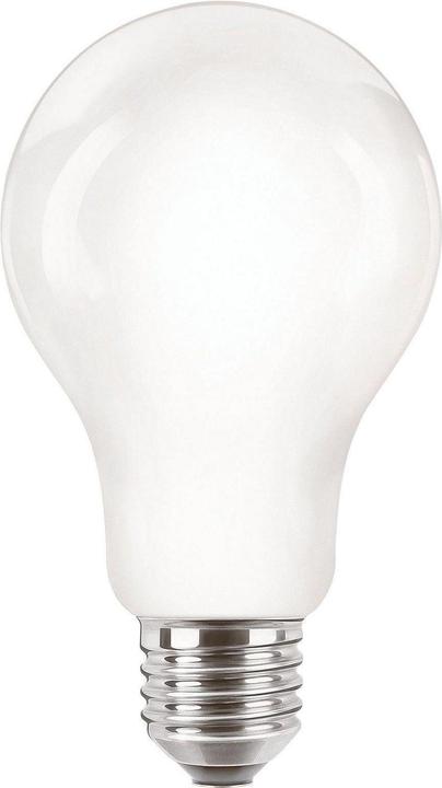 Produktbild Philips Professional CorePro LED (E27, 13 W, 2000 lm, 1 x, D)