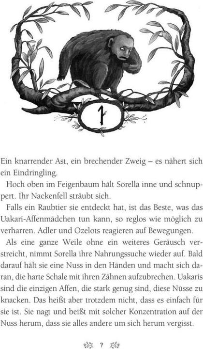 Actual product image Caldera 2: Die Rückkehr der Schattenwandler (German, Eliot Schrefer, 2019)