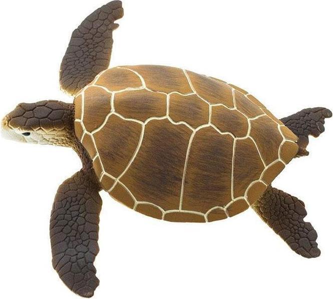 Image du produit Safari Tortue brune à soupe