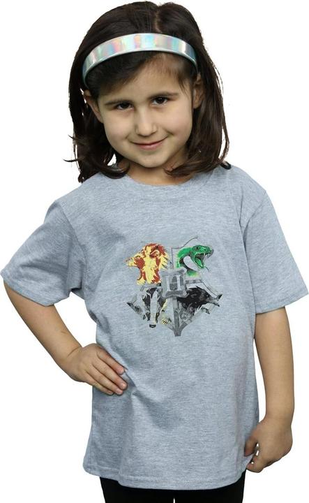 Image du produit - T-shirt HOGWARTS PAINTED CREST - Fille (116)