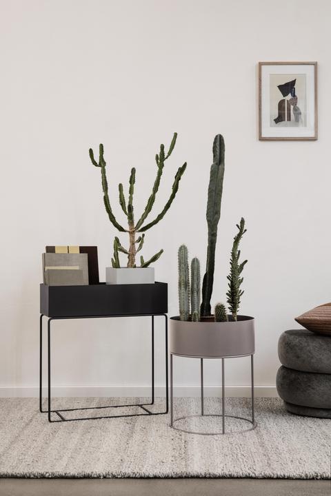Immagine prodotto Ferm Living Scatola di piante