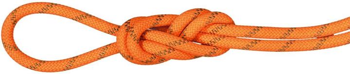 Actual product image Mammut 8.0 Alpine Dry climbing rope (50 m)