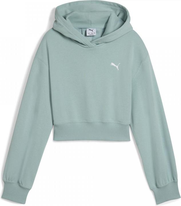 Produktbild Puma WARDROBE ESS Short Length Hoodie TR G (164)