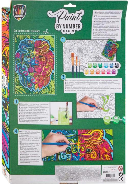 Actual product image Grafix Painting by Numbers- Lion