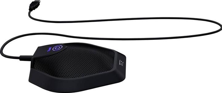 Actual product image TIE TG11 USB microphone