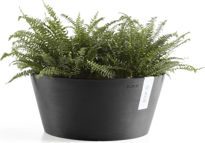 Actual product image Ecopots Frankfurt (30 cm)
