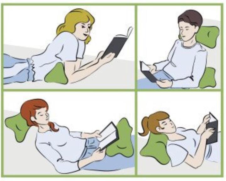 Immagine prodotto Magma Leggere l'osso Comodo (40 x 20 cm)