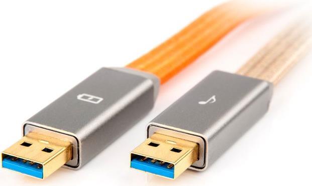 Image du produit iFi Audio Gemini 3.0 (0.70 m, USB 3.0)