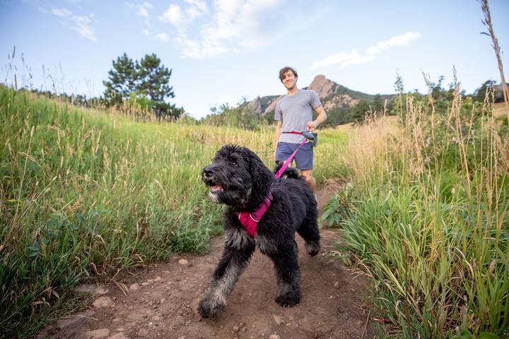 Produktbild Ruffwear Hundegeschirr Front Range Harness (M, Hund)