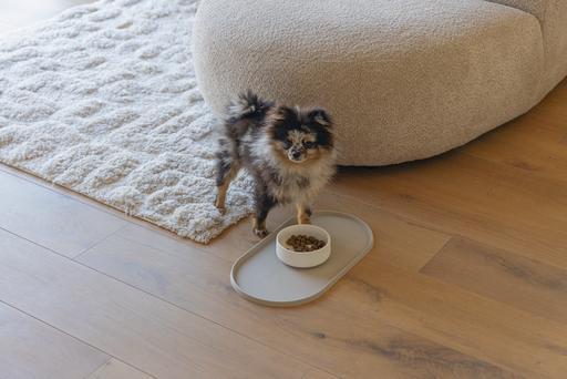 Image du produit Designed by Lotte Gamelle pour chien Lojs (0.43 l)