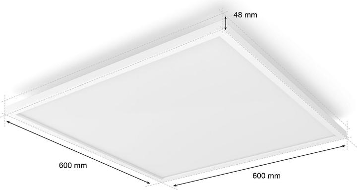 Actual product image Philips Hue Surimu (4150 lm)