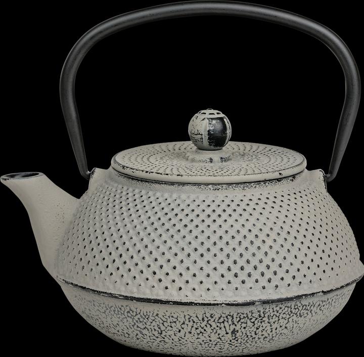 Actual product image Bredemeijer Jang (1.10 l)