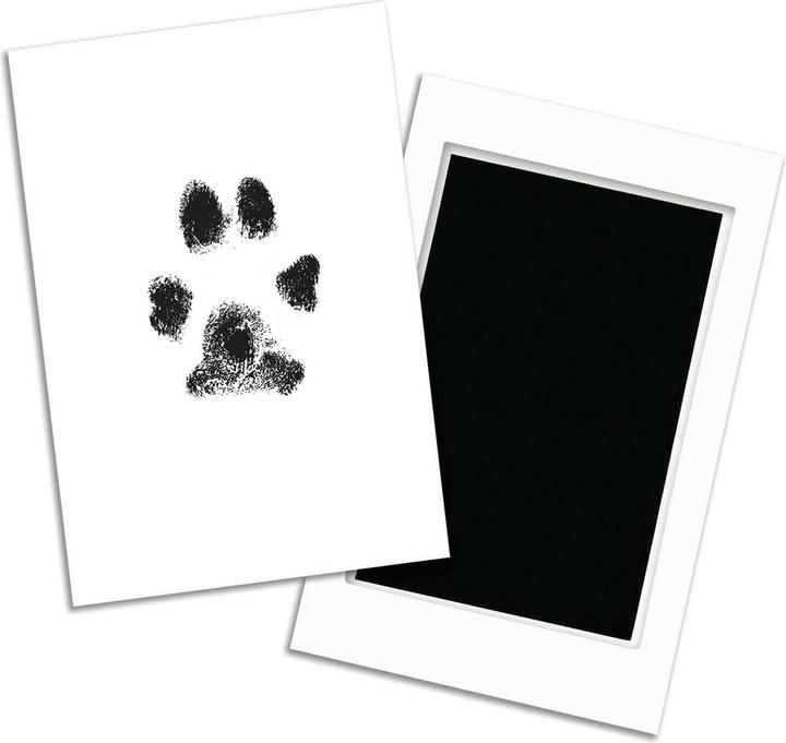 Actual product image Pearhead Stamp pads