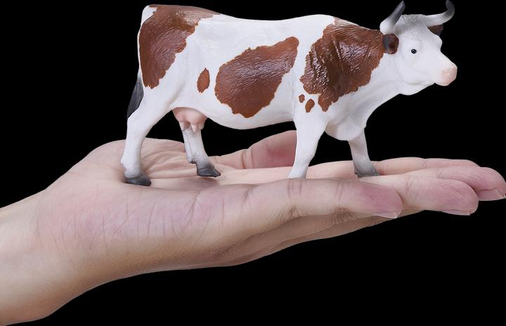 Actual product image Mojo Simmental cow
